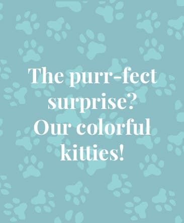 The purr-fect surprise? Our colorful kitties!